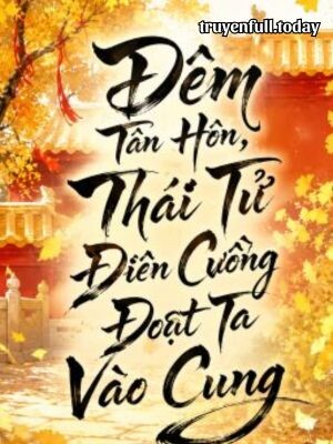 Đêm Tân Hôn, Thái Tử Điên Cuồng Đoạt Ta Vào Cung